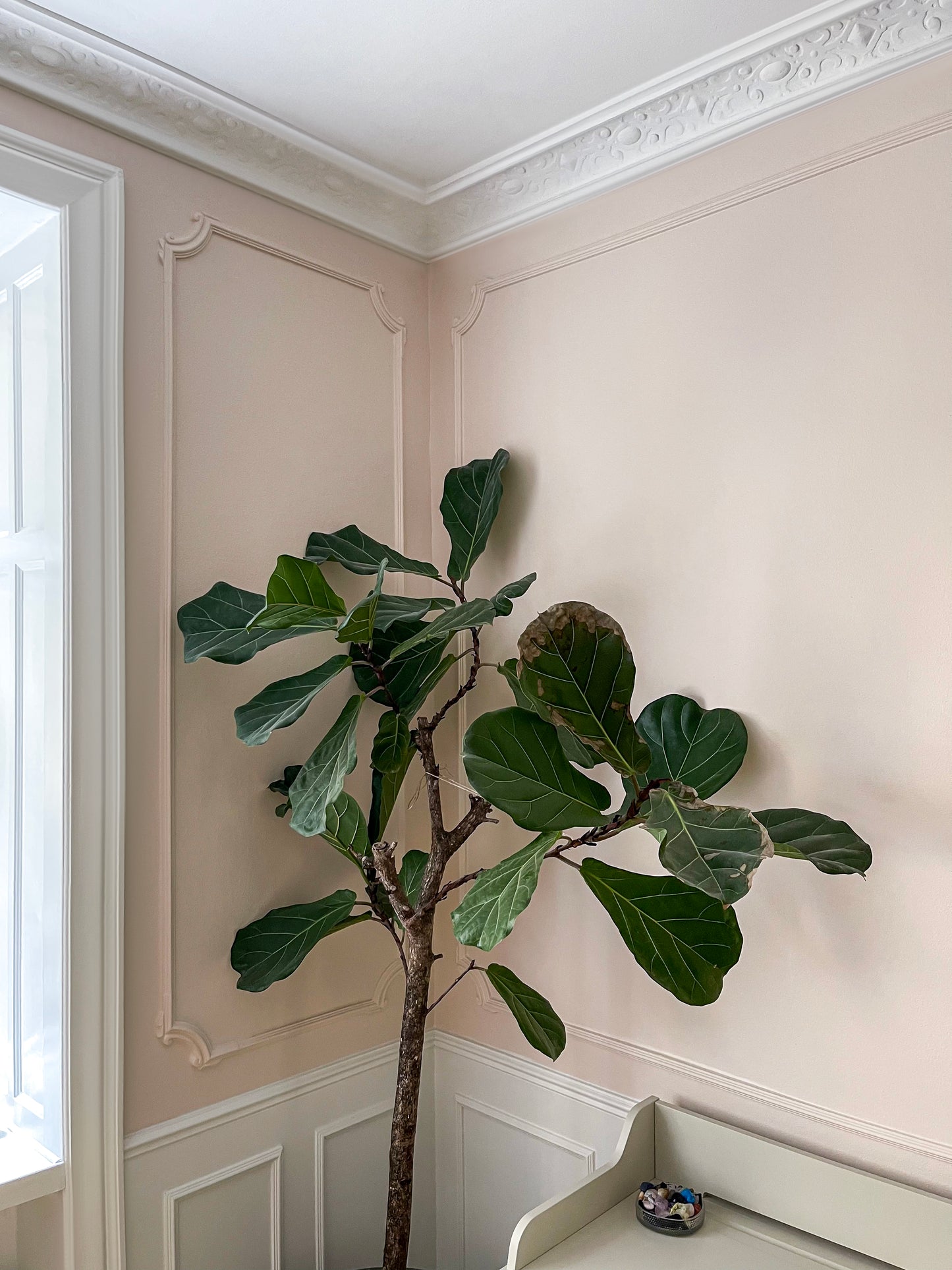 Moulure D'angle  HL354-4